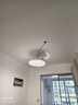 雷士（NVC）LED照明风扇灯吊扇灯餐厅1级能效智控42寸48瓦【JC系列】包安装 实拍图