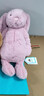 Jellycat害羞乳白色邦尼兔动物毛绒玩偶安抚玩偶娃娃送礼母亲节礼物 害羞粉色郁金香邦尼兔 Medium 实拍图