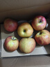 京鲜生 新疆阿克苏冰糖心苹果 净重9斤 果径75mm 生鲜水果 实拍图