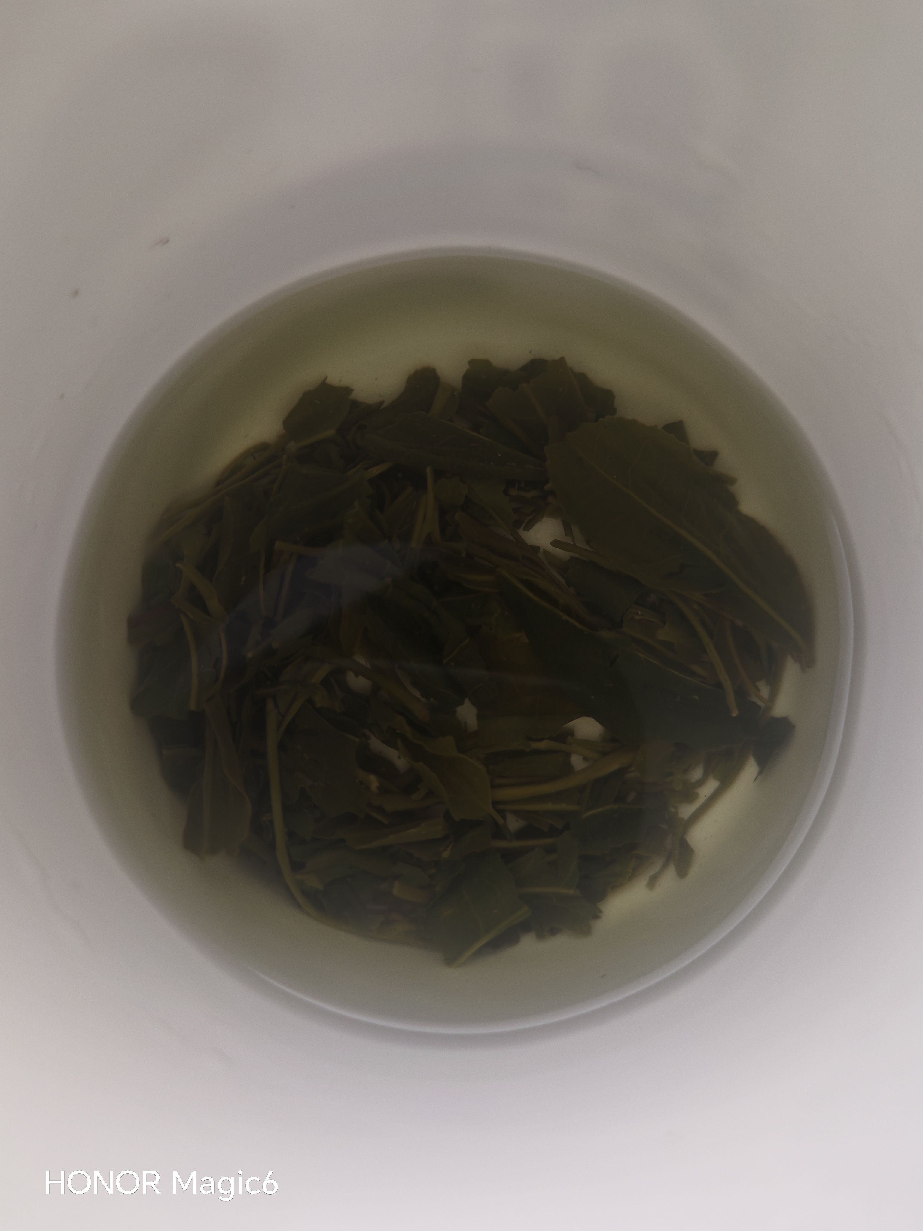 明前高山云雾绿茶浓香型春茶散装炒青茶叶碧螺春自己喝 云雾绿茶500克【大份量】 实拍图