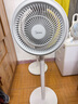 美的（Midea）【暴风循环】空气循环扇大风量摇头电风扇家用台式落地扇轻音卧室节能小风扇柔风轻羽扇 FGA24TQ 实拍图