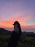 牧唯 美式潮牌春夏季薄款户外登山锋冲上衣外套男女机能连帽情侣夹克 黑色 XL 实拍图