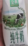 伊利【新鲜日期】金典纯牛奶早餐奶250ml*16 3.6g乳蛋白 礼盒装 2-3月 实拍图