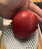京鲜生甘肃天水花牛苹果 又大又红 净重8斤 单果200g以上 生鲜水果 实拍图