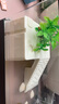 Barbarous Growth乌龟饲养缸生态造景家用带盖小型别墅爬台底部排水专用箱巴西龟缸 盖板+晒台+雨淋过滤+晒背灯+礼包 中号-30*18*18cm 黑色【防逃逸|加厚|加高】 实拍图