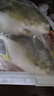 翔泰海南深海金鲳鱼700g2条火锅生鲜鱼类BAP认证 海鲜水产 实拍图
