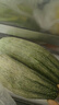 京鲜生山东头茬羊角蜜甜瓜 单果300g起 净重3斤 水果源头直发包邮 晒单实拍图