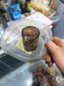 幕篱【新品巴西木】巴西木带芽格鲁加树人开花水培养室内好养懒人 A混色巴西木+格鲁特+白盆+营养 实拍图