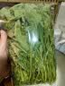 千牛优福芝麻菜250g-500g 新鲜蔬菜沙拉食材 生菜 西餐 火箭菜 新鲜芝麻菜500g 实拍图