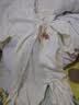 乖奇熊婴幼儿长袖连体衣服春秋季男女宝宝纯棉哈衣爬服家居服薄款睡内衣 实拍图