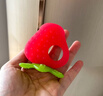 babycare宝宝牙胶磨牙咬咬胶棒婴儿玩具水果安抚牙胶婴儿用品 草莓 实拍图