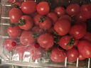 红千禧小番茄1kg 实拍图