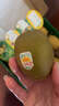 佳沛（zespri）新西兰 新果季 阳光金奇异果12粒特大果单果124-146g 猕猴桃 实拍图