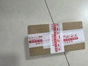 诗轩【招财】乌龟纯种石金龟黄金长寿龟宠物观赏乌龟活体乌龟活物 20-30克（5-6厘） 两只 情侣一对（招财镇宅） 实拍图