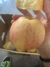 京鲜生 新疆阿克苏冰糖心苹果 净重9斤 果径75mm 生鲜水果 实拍图