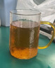 雅集茶具锤纹斜纹耐热玻璃茶杯茶水分离过滤泡茶杯透明水杯550ml 实拍图