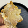 【活蟹】湖鲜阳澄 大闸蟹 去绳足重 2.3-2.6两 12只 鲜活六月黄现货超大螃蟹水产礼盒装 实拍图