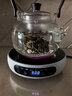 茗光煮茶壶电陶炉煮茶器蒸煮一体茶壶烧水煮茶炉养生壶2026新款 实拍图