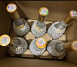 汾酒 黄盖玻汾 清香型白酒 53度 475mL*6瓶整箱 年份随机 实拍图