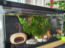 米家小米米家智能生态鱼缸还原自然生态补仓一次三月无忧出差旅行必备 实拍图