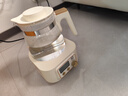 小白熊全玻璃恒温水壶调奶器婴儿电热水壶烧水壶冲奶1.2L 5025随机发货 实拍图