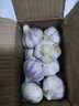 紫白皮蒜水果大蒜超市即食生鲜蔬菜大蒜 【优选】净重0.8斤 单果3.5-5cm 实拍图