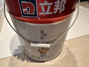 立邦乳胶漆京雅居墙漆乳胶漆油漆白漆防霉抗甲醛净味五合一18L/约25kg 实拍图