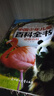 中国儿童百科全书+我想知道为什么+十分有趣的为什么彩图注音版全套3册正版图书 十万个为什么幼儿版 带拼音儿童读物3—6岁以上动植物恐龙世界常识趣味科普绘本 小学生一二三年级课外阅读必读书籍儿童书 实拍图