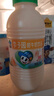 李子园【成毅代言】甜牛奶饮品低脂低糖哈密瓜奶225ml*20瓶整箱营养早餐 实拍图