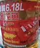 金龙鱼 食用油 黄金比例食用调和油4L 实拍图