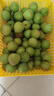 志褚 新鲜青梅鲜果 高山福建诏安青梅果鲜酸脆梅子泡酒青梅酵素 青梅【大果5斤】 实拍图