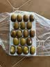佳沛（zespri）新西兰  新果季 阳光金果18粒巨无霸原箱单果175-204g 猕猴桃 实拍图