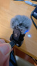 大疆 DJI Mic Mini 迷你无线高品音质降噪领夹麦克风【安卓+苹果15/16/17系列+相机】相机版 一拖二 实拍图