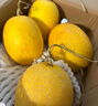 京鲜生 海南黄金哈密瓜 2粒 单果2.5斤起 净重6-8斤 生鲜水果礼盒 实拍图