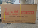 五羊锂电池助力电动自行车禧玛诺变速超长续航山地车男女士双碟刹单车 磨砂黑T5N-C款-26寸-助力续航约100km 实拍图