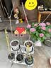 爱丽思（IRIS）花架塑料阳台置物架客厅庭院收纳架多层落地式架子多肉专用花盆架 【二层白色】长57x宽37x高42cm 实拍图