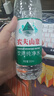 农夫山泉东方树叶红茶500ml*15瓶无糖茶饮料0糖0脂0卡整箱装解渴饮品 实拍图