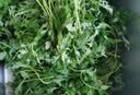 艾草新鲜食用蔬菜现摘清明草粑粑青团3斤顺丰艾叶新鲜艾草叶 【顺丰快递】 2500g 实拍图
