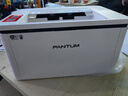奔图（PANTUM）P1 Lite激光打印机家用办公 手机无线微信打印 学生作业错题打印机 实拍图