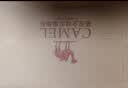 骆驼（CAMEL）父亲节礼物网面透气轻量健步运动男鞋 K14B60L8015 黑色 43 实拍图