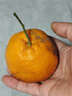 京鲜生【公益好物】川爷爷的春见耙耙柑 净重4.5-5斤 单果140g+ 实拍图