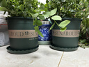 墨斗鱼花盆加仑盆加厚高款2加仑*3多肉绿萝月季盆栽树脂塑料简约带托盘 实拍图
