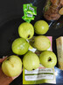 京鲜生 广东软糯红白对半双拼芭乐 净重2.5斤单果130g+ 番石榴源头直发 实拍图
