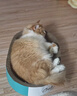 疯狂的主人猫抓板窝特大号猫玩具猫爪板猫抓盆不掉屑猫窝椭圆形瓦楞纸 实拍图