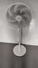 美的（Midea） 电风扇 家用风扇7叶落地扇立式轻音节能大风量电扇台扇迷你扇台立两用转页扇空气循环扇安静低音 尺寸升级丨纯铜电机 8米送风·SAE35CA1 家用落地扇 实拍图