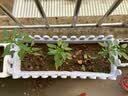 得力（deli）QH52白色热敏标签打印纸 不干胶家用收纳整理开关贴便签手账姓名贴 白色间隙纸适用Q5 320张 实拍图