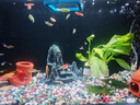 憨憨乐园 鱼缸活性炭【过滤材料500g】水质水族用品细菌活性炭滤材生物球  实拍图