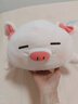 名创优品（MINISO）小猪B-BO弹力超柔趴姿公仔毛绒玩具玩偶抱枕靠枕娃娃生日礼物女 实拍图