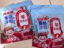 凤球唛番茄酱0添加10g*20袋小包装西红柿蕃茄蘸酱商用披萨汉堡薯条意面 实拍图