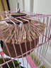 喜帅 椰壳鸟窝 虎皮鹦鹉鸟窝打洞保暖椰子壳窝牡丹鸟巢鸟笼配件用品 实拍图